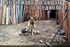 https://lolkot.ru/2012/08/22/vot-tak-2/