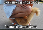 https://lolkot.ru/2012/08/09/vot-takaya-vot-simpatiya/