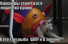 https://lolkot.ru/2013/11/23/vot-takoy-voyenkomat/