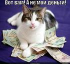 https://lolkot.ru/2012/01/04/vot-vam-2/