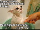 https://lolkot.ru/2011/03/26/vot-ya-tut/