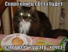 https://lolkot.ru/2013/09/13/voyna-voynoy-a-obed-po-raspisaniyu-2/