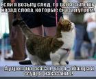 https://lolkot.ru/2012/09/17/vozmesh-nazad-slova/