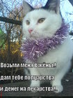 https://lolkot.ru/2011/04/14/vozmi-v-zhyony/