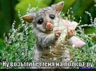 https://lolkot.ru/2011/03/25/vozmite-na-lolkot-ru/