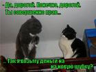 https://lolkot.ru/2015/09/25/vozmu-da/