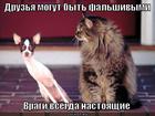 https://lolkot.ru/2012/03/01/vragi-nastoyaschiye/