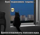 https://lolkot.ru/2013/05/28/vremya-mayskogo-zhuka/