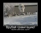 https://lolkot.ru/2011/01/16/vrubay-gravitatsiyu/