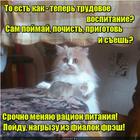 https://lolkot.ru/2016/09/29/vse-sam-3/