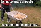 https://lolkot.ru/2011/06/30/vse-sposoby/