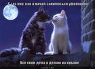 https://lolkot.ru/2011/03/23/vse-svoi-dela/