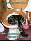 https://lolkot.ru/2011/04/15/vsegda-napolnyayut/