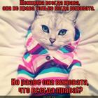 https://lolkot.ru/2012/10/29/vsegda-prava/