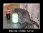 https://lolkot.ru/2011/12/02/vsegda-%c2%abkoka-kola%c2%bb/