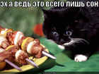 https://lolkot.ru/2011/11/22/vsego-lish-son/