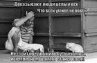 https://lolkot.ru/2013/07/18/vseh-umneye-chelovek/