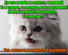 https://lolkot.ru/2016/03/09/vsem-spat/