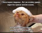 https://lolkot.ru/2025/03/25/vsestoronnyaya-podgotovka/