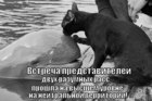 https://lolkot.ru/2012/01/26/vstrecha-razumnyh-rass/