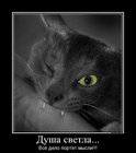 https://lolkot.ru/2012/01/07/vsyo-delo-portyat-mysli/