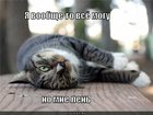 https://lolkot.ru/2012/08/27/vsyo-mogu/