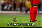 https://lolkot.ru/2011/04/23/vsyo-po-nastoyaschemu/