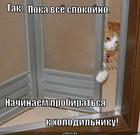 https://lolkot.ru/2012/11/30/vsyo-spokoyno/