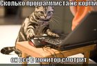 https://lolkot.ru/2012/01/06/vsyo-v-monitor-smotrit/