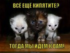https://lolkot.ru/2012/04/26/vsyo-yeschyo-kipyatite/