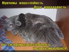 https://lolkot.ru/2012/04/02/vsyu-zhizn-raduysya/