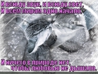 https://lolkot.ru/2012/02/20/vsyudu-zvuk/