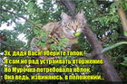 https://lolkot.ru/2016/09/03/vtorzheniye-v-polozheniye/