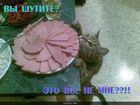 https://lolkot.ru/2012/07/22/vy-shutite/