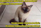 https://lolkot.ru/2016/05/02/vybral-vsenoschnoye-trudovoye-poyedaniye/