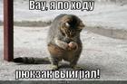 https://lolkot.ru/2010/11/26/vyigral-ryukzak/