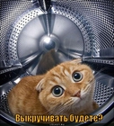 https://lolkot.ru/2012/02/17/vykruchivat-budete/