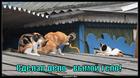 https://lolkot.ru/2011/03/21/vymoy-telo/