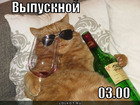 https://lolkot.ru/2011/06/26/vypusknoy-3/