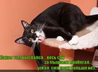 https://lolkot.ru/2011/02/03/vyspalsya/