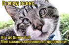 https://lolkot.ru/2013/01/25/vzglyad-izvne/