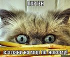 https://lolkot.ru/2010/02/12/vzglyani-na-mir/