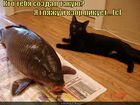https://lolkot.ru/2011/04/17/vzor-likuyet/
