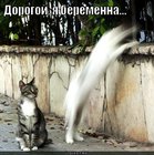 https://lolkot.ru/2010/10/28/ya-beremenna/