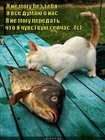 https://lolkot.ru/2011/12/09/ya-ne-mogu-bez-tebya/