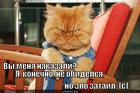 https://lolkot.ru/2014/05/07/ya-ne-obidelsya-no-obidu-zatail-s/