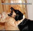 https://lolkot.ru/2010/02/13/ya-ne-tseluyus/