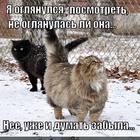 https://lolkot.ru/2014/12/01/ya-oglyanulsya-posmotret-ne-ofigela-li-ona/