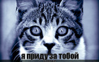 https://lolkot.ru/2011/11/05/ya-pridu-za-toboy/