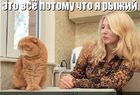 https://lolkot.ru/2011/01/15/ya-ryzhiy/